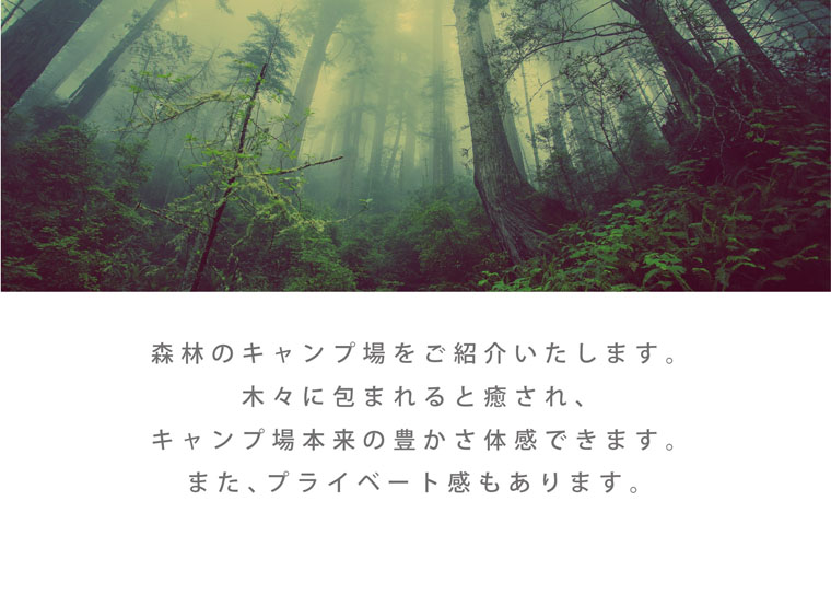 Forest_page01