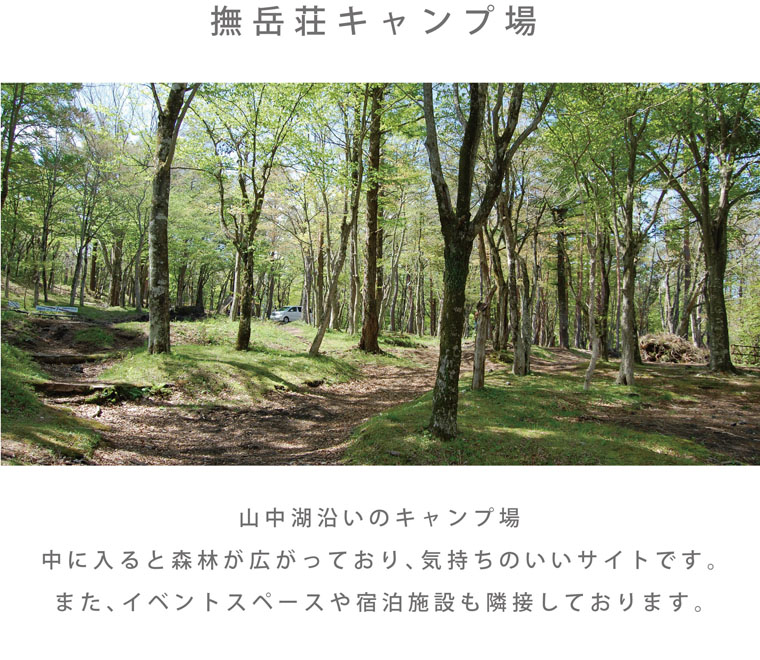 Forest_page03