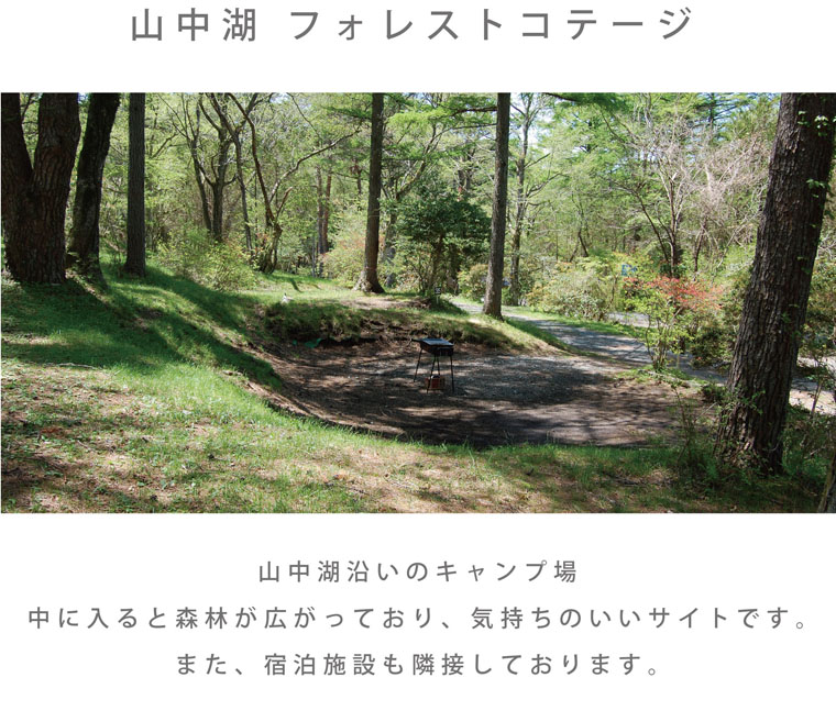 Forest_page06