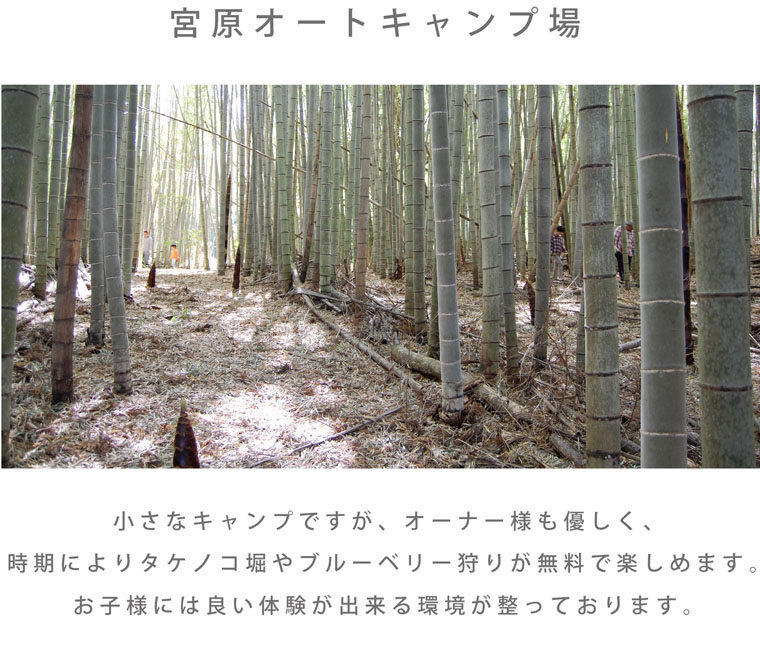 kids_page_02