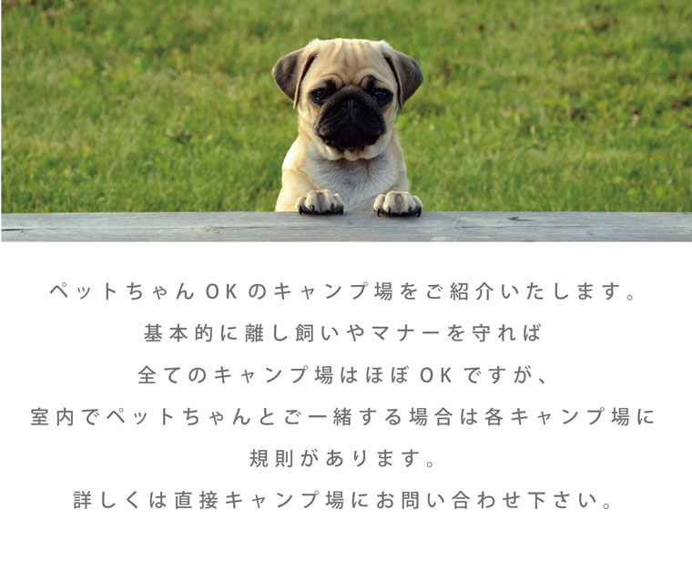 petok_page_00