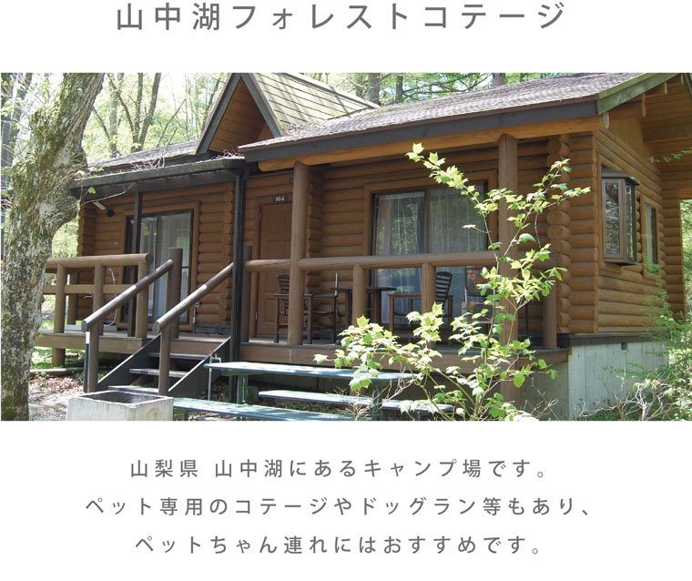 petok_page_01