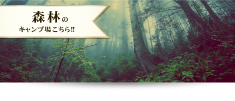 forest_banner_01