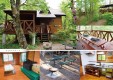odakyuforest-04