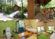 odakyuforest-06