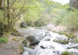 seitoenn_01