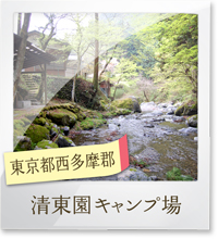seitoenn_poto