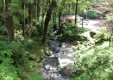 shiroiwa_01