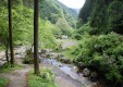 shiroiwa_03