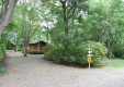 arinomien_01