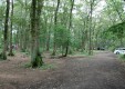 houryi01