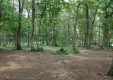 houryi03
