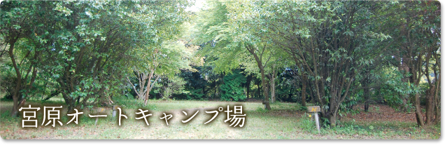 miyahara_topimg