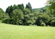 sagano_03