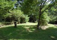 sagano_04