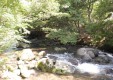 sagano_05