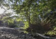 kominka_camp_01