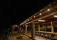chii_photo
